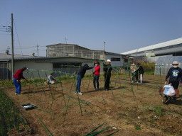 特定非営利活動法人 ひまわりの家 特定非営利活動法人 ひまわりの家