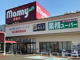 マミー 広見店(マキヤグループ) マミー 広見店(マキヤグループ)