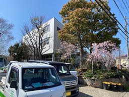株式会社 たくしょくグリーン 株式会社 たくしょくグリーン