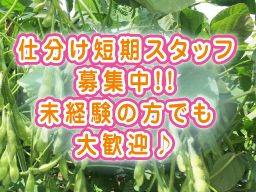 (有)岩崎ファーム (有)岩崎ファーム