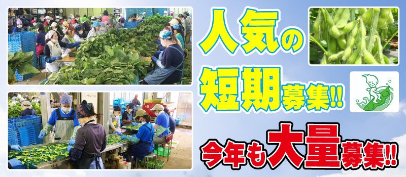 (有)岩崎ファーム (有)岩崎ファーム