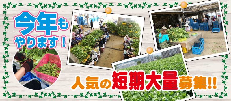 松原農園 松原農園
