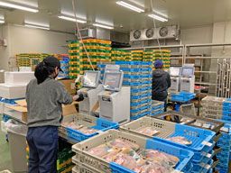 株式会社 水産流通 市川センター 株式会社 水産流通 市川センター
