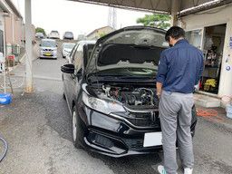ヤマエレンタリース 株式会社 ヤマエレンタリース 株式会社