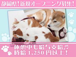 株式会社コミット 株式会社コミット