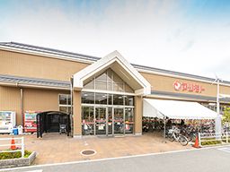 マツモト 桂東店 マツモト 桂東店