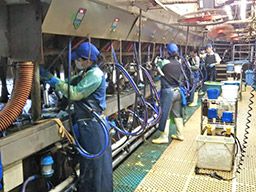 農業生産法人 有限会社若林牧場 農業生産法人 有限会社若林牧場