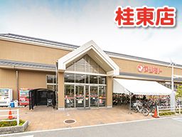 マツモト 桂東店 マツモト 桂東店