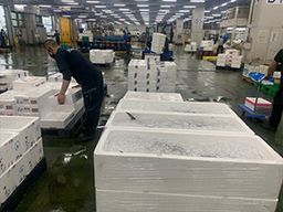 株式会社 横浜平庄 株式会社 横浜平庄