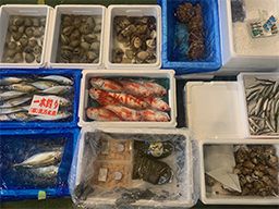 株式会社 横浜平庄 株式会社 横浜平庄