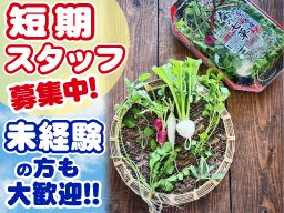 (有)岩崎ファーム (有)岩崎ファーム