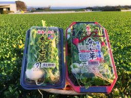 (有)岩崎ファーム (有)岩崎ファーム