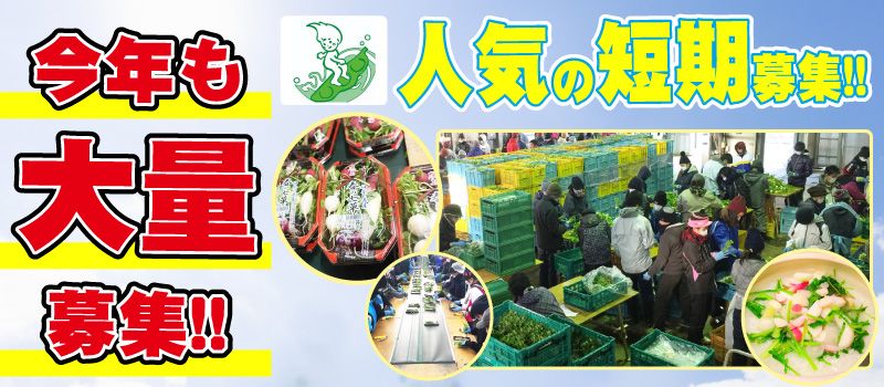 (有)岩崎ファーム (有)岩崎ファーム