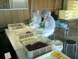 株式会社 テルズ 株式会社 テルズ