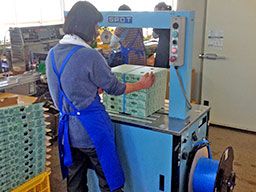 株式会社 葉っぱやファーム 株式会社 葉っぱやファーム