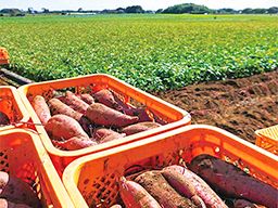 株式会社 FIELD-LIFE. 株式会社 FIELD-LIFE.
