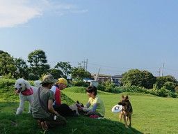 ペットカイロマスターズ協会 川崎中原センター ペットカイロマスターズ協会 川崎中原センター
