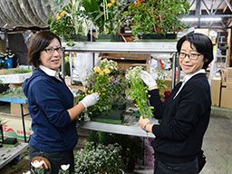 株式会社フラワー企画 株式会社フラワー企画