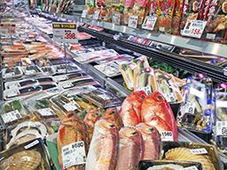 マツモト 亀岡東店 マツモト 亀岡東店