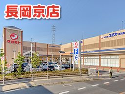 マツモト 長岡京店 マツモト 長岡京店