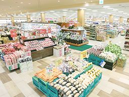 マツモト 長岡京店 マツモト 長岡京店