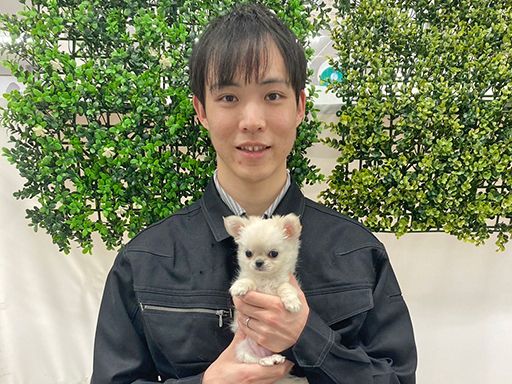 株式会社 アニマール 株式会社 アニマール