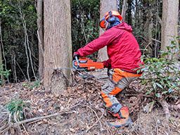茨城県森林組合連合会