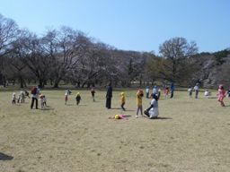 社会福祉法人けやき福祉会 社会福祉法人けやき福祉会