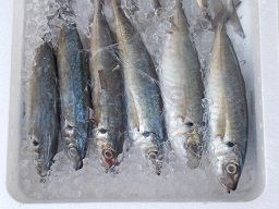 有限会社 山正食品 有限会社 山正食品