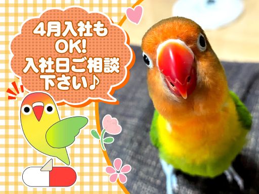 るりこし薬局