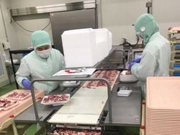 タイヨー 畜産加工センター タイヨー 畜産加工センター