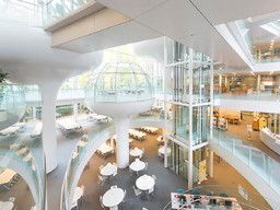 学校法人 成蹊学園 学校法人 成蹊学園