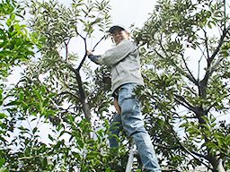株式会社 鈴木造園 株式会社 鈴木造園