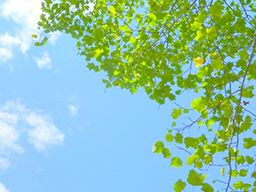 株式会社ウィズアドバンス 株式会社ウィズアドバンス