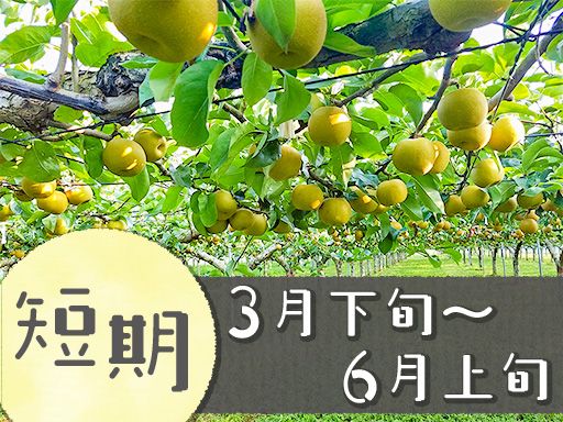 田中果樹園