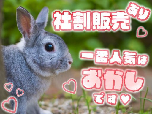 株式会社　ケー・スタッフサービス 　厚木センター