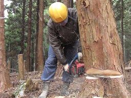 株式会社 エムズ 株式会社 エムズ