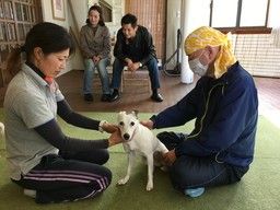 ペットカイロマスターズ協会 大和 ペットカイロマスターズ協会 大和
