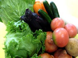 株式会社 厚木食品 株式会社 厚木食品