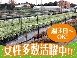 安行緑栄