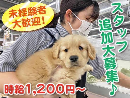 株式会社 アニマール