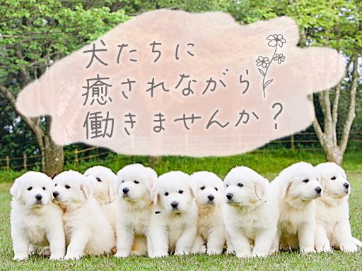 ファーストライン合同会社