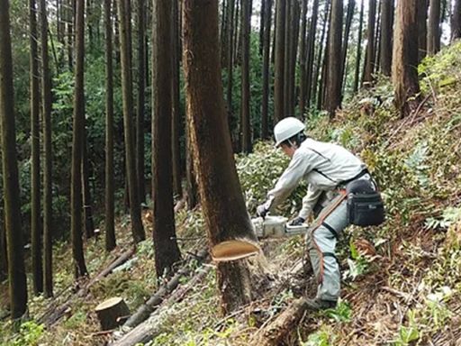 フォレストイノベーション株式会社/【山林での作業スタッフ】未経験歓迎◆経験者優遇