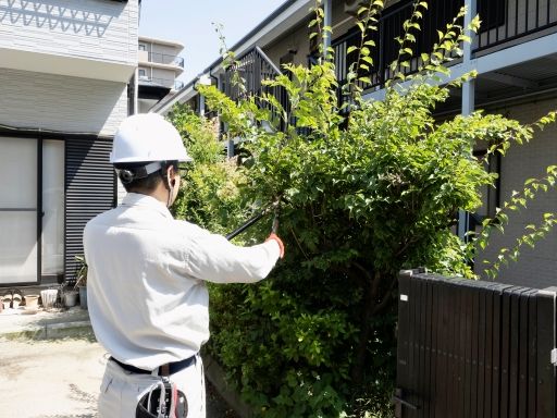 株式会社　内野造園