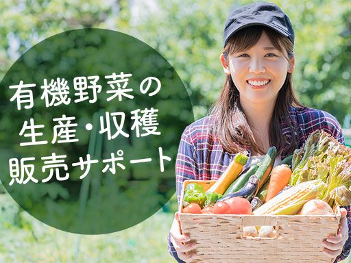 株式会社椿ファーム/【有機野菜の生産・収穫・販売サポート】未経験歓迎◆経験者優遇