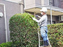 株式会社孝緑園