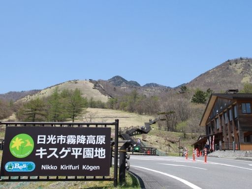 日光市霧降高原　キスゲ平園地