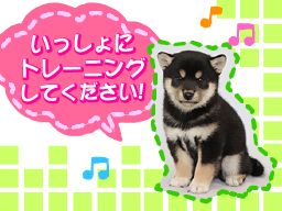 株式会社　愛犬ハウスセキノ