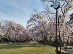 桜の宮ゴルフ倶楽部