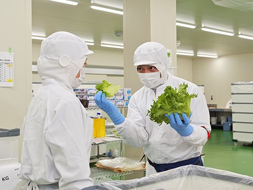 株式会社ベジタブルテック 株式会社ベジタブルテック